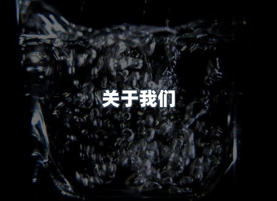 关于我们